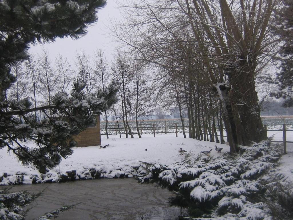 B&B Ter Castaigne Koekelare Dış mekan fotoğraf