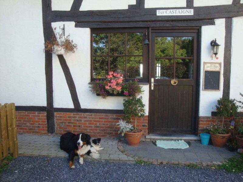 B&B Ter Castaigne Koekelare Dış mekan fotoğraf